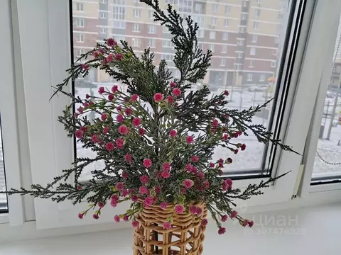 1-к кв. Удмуртия, Ижевск ул. Карла Маркса, 455 (39.0 м)