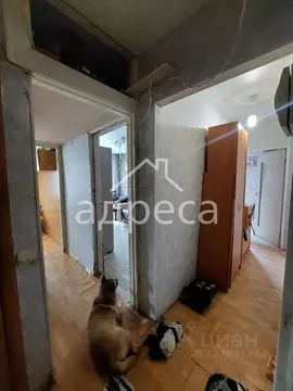 2-к кв. Самарская область, Самара пер. Карякина, 5 (41.4 м)