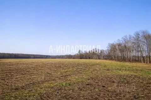 Участок в Московская область, Домодедово Белые Столбы мкр, ул. ...