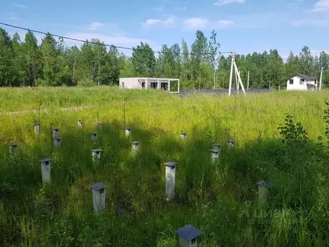 Участок в Ленинградская область, Всеволожский район, Рахьинское ...
