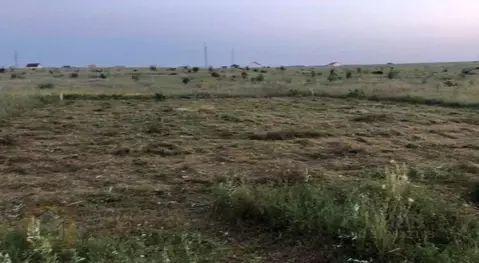 Участок в Крым, Симферопольский район, с. Мирное, Мир СНТ  (6.0 сот.)