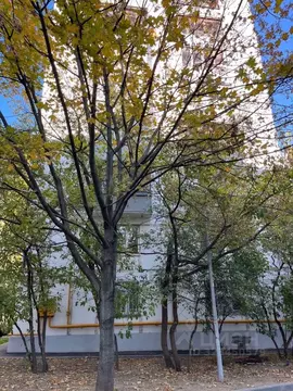 2-к кв. Москва ул. Павла Андреева, 7 (36.0 м)