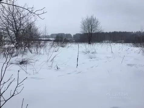 Участок в Московская область, Пушкинский городской округ, д. Михалево  ...