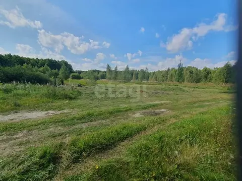 Участок в Тюменская область, Тюменский муниципальный округ, Нива СНТ ...