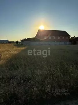 Участок в Крым, Черноморский район, с. Новосельское, Мечта-1 СНТ 98 ...