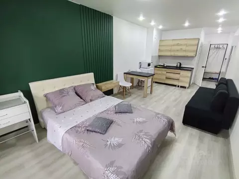 Студия Иркутская область, Иркутск ул. Розы Люксембург, 118/1 (30.0 м)