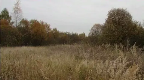 Участок в Московская область, Коломна городской округ, пос. Пески  ...