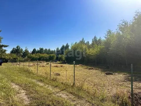 Участок в Воронежская область, Рамонский район, Новоживотинновское ...