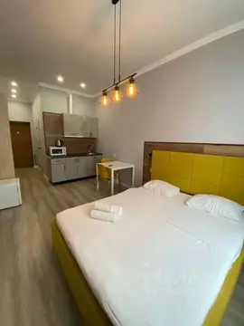 Студия Башкортостан, Уфа ул. Аксакова, 81 (32.0 м)