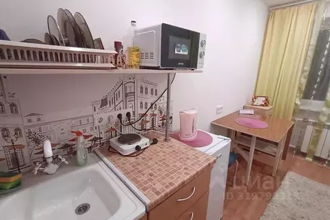 1-к кв. Владимирская область, Владимир ул. Усти-на-Лабе, 15 (10.0 м)