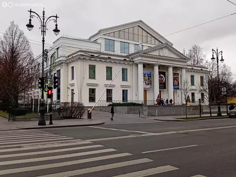 2-комнатная квартира: Санкт-Петербург, улица Чайковского, 81 (54.7 м)