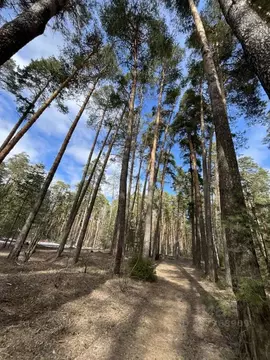 Коттедж в Рязанская область, Рязанский муниципальный округ, с. Ласково ...