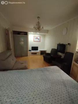 2-комнатная квартира: Санкт-Петербург, Граничная улица, 21 (52 м)