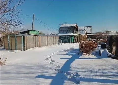 Дом в Бурятия, Улан-Удэ Весна садоводческое товарищество, 454 (29 м)