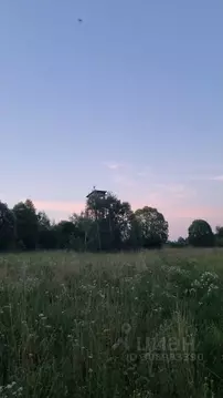 Участок в Псковская область, Псковский район, Писковичская волость, д. ...