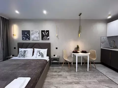 Студия Кировская область, Киров Заводская ул., 6к2 (24.0 м)