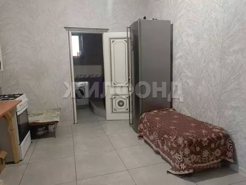 Дом в Новосибирская область, Новосибирский район, с. Толмачево ул. ...