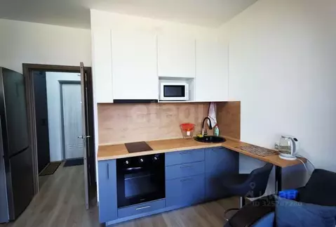 Студия Санкт-Петербург ул. Среднерогатская, 13к1 (24.0 м)