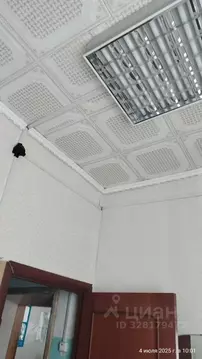 Помещение свободного назначения в Магаданская область, Сусуман ...