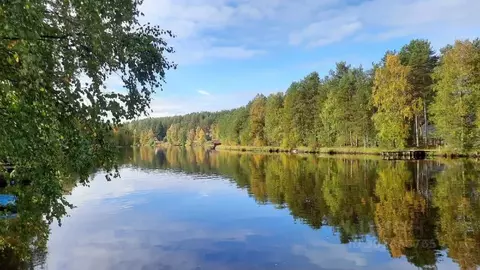 Дом в Карелия, Пряжинский район, Эссойльское с/пос, пос. Сяпся ул. ...