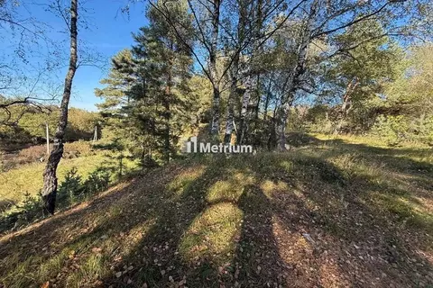 Участок в Московская область, Истра муниципальный округ, д. Лешково  ...