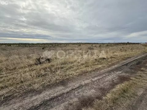 Участок в Тюменский муниципальный округ, деревня Речкина (600 м)