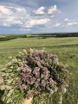 Участок в Башкортостан, Чишминский район, с. Кляшево ул. Тукран (14.0 ...