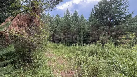 Участок в Красноярский край, Красноярск городской округ, пос. Минино  ...