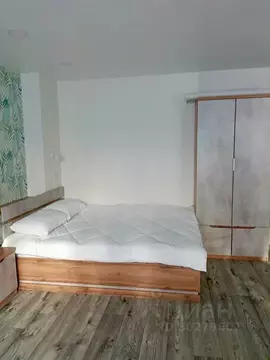 1-к кв. Пермский край, Пермь Екатерининская ул., 184 (32.0 м)