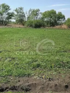 Участок в Воронежская область, Новоусманский район, Усманское 1-е ...