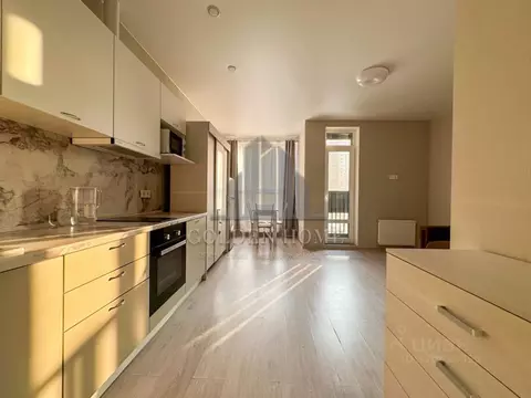 Студия Санкт-Петербург ул. Вадима Шефнера, 4 (30.0 м)