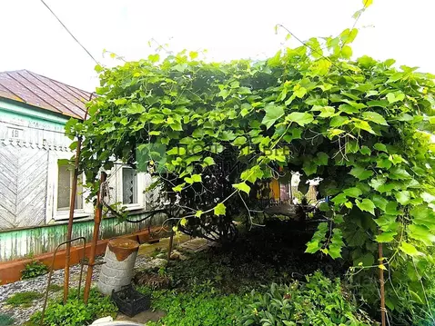 Дом в Орловская область, Колпна пгт ул. Луговая, 18 (48 м)