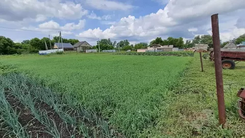 Участок в Самарская область, Кинельский район, Чубовка с/пос, с. ...
