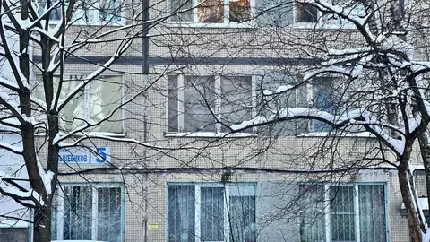 1-к кв. Санкт-Петербург просп. Большевиков, 5 (29.0 м)