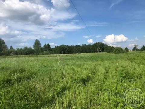 Участок в Ленинградская область, Кингисеппский район, Опольевское ...