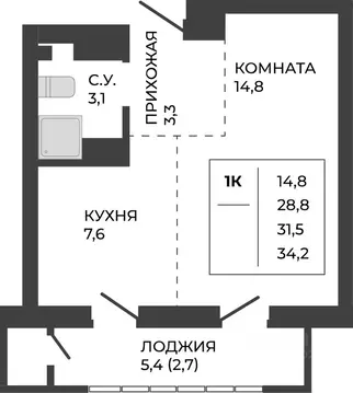 1-к кв. Алтайский край, Барнаул тракт Павловский, 251Б (31.5 м)