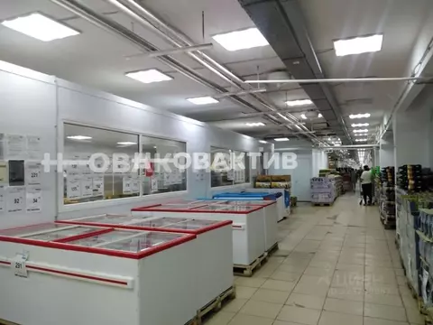 Помещение свободного назначения в Новосибирская область, Новосибирск ...
