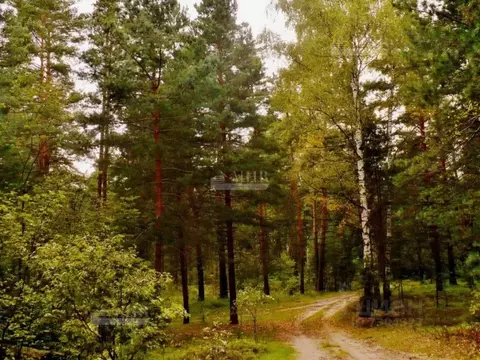 Участок в Московская область, Одинцовский городской округ, Оленев и К ...