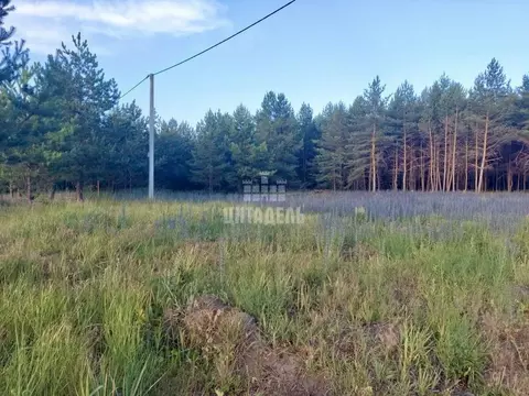 Участок в Воронежская область, Рамонский район, с. Новоживотинное  ...