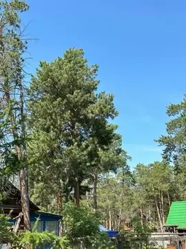 Дом в Саха (Якутия), Якутск Луговая ул., 73 (36 м)