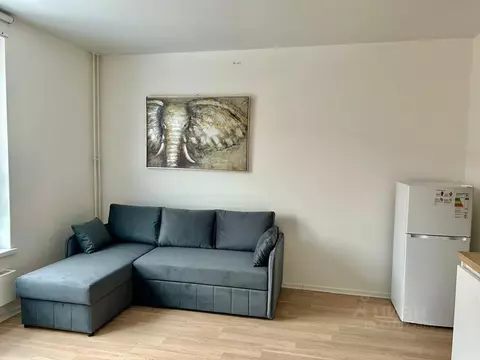 Студия Московская область, Красногорск городской округ, пос. ...