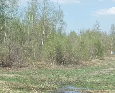 Участок в Московская область, Шатура муниципальный округ, с. Пышлицы  ...