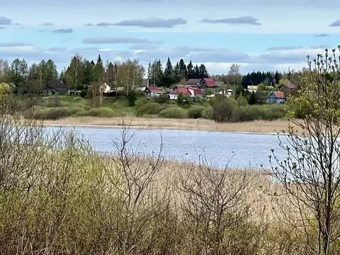 Участок в Ярославская область, Некрасовское с/пос, с. Малые Соли  ...