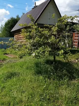 Участок в Московская область, Богородский городской округ, имени ...