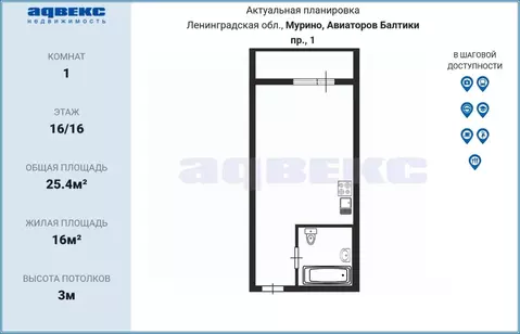 Студия Ленинградская область, Мурино Всеволожский район, просп. ...