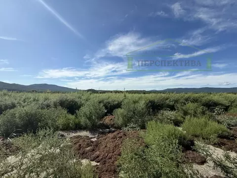 Участок в Приморский край, Шкотовский муниципальный округ, с. ...