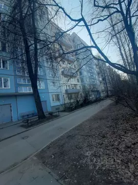 1-к кв. Санкт-Петербург просп. Маршала Блюхера, 61К1 (30.0 м)