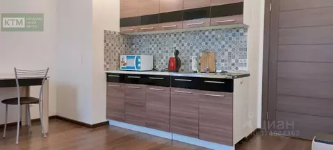 Студия Санкт-Петербург пос. Парголово, проезд Толубеевский, 20к1 (24.0 ...