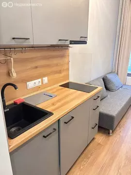 Квартира-студия: Санкт-Петербург, Лиговский проспект, 71П (19.4 м)