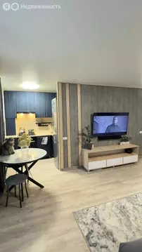 2-комнатная квартира: Миасс, Ильменская улица, 115 (44 м)